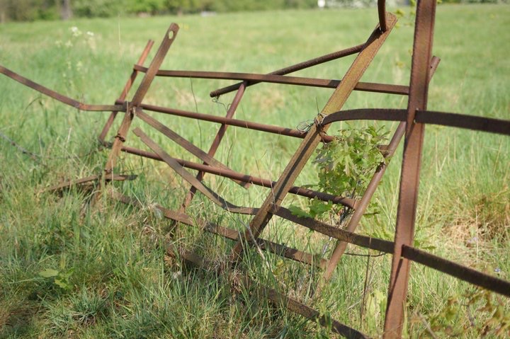 Rusty gate